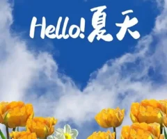 夏